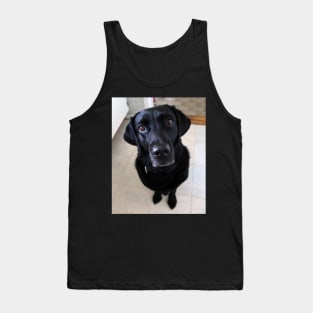 Sia 8 years old Labrador Tank Top